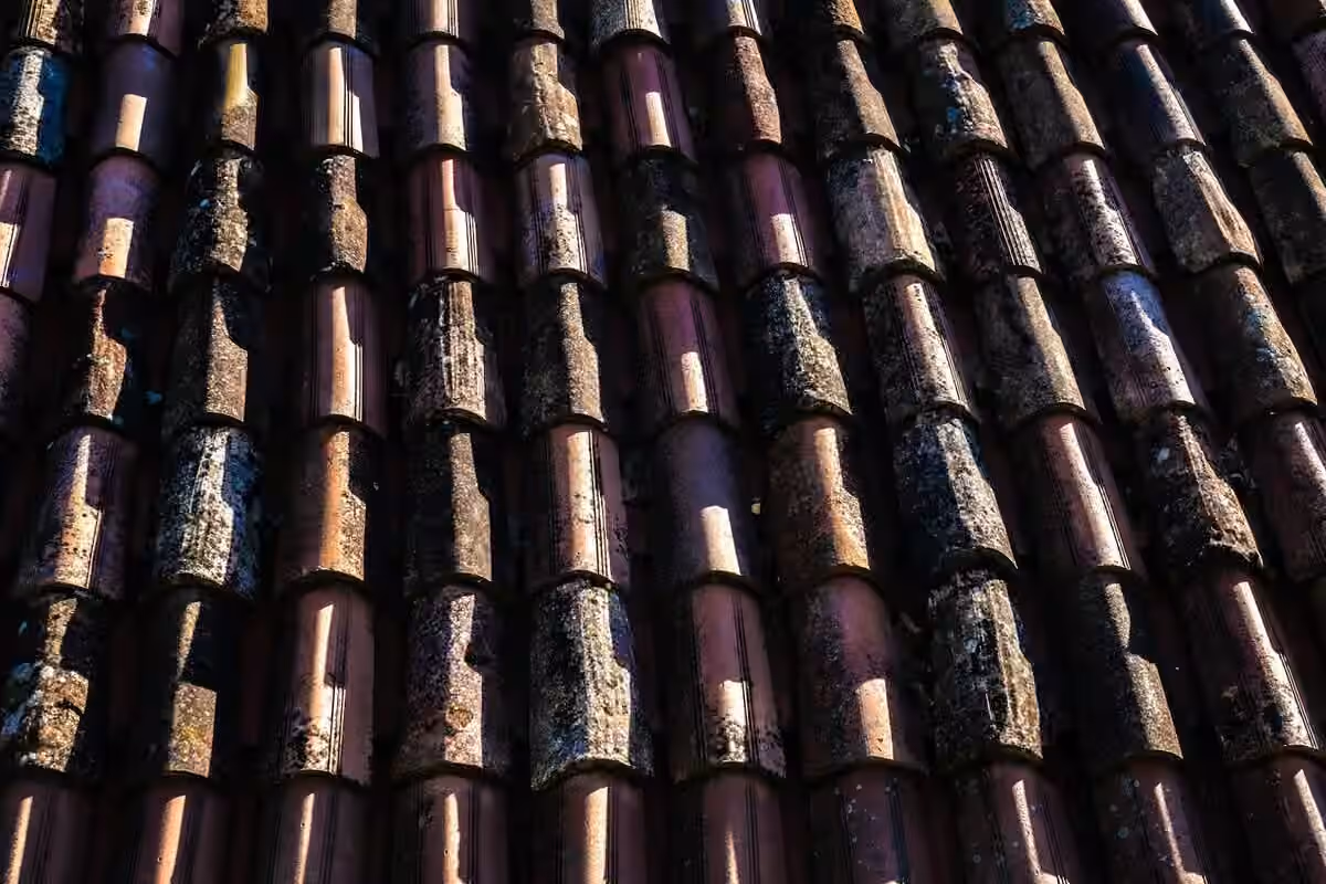 Zbliżenie na dachówki ceramiczne - widoczna faktura i nakładanie się dachówek na dachu